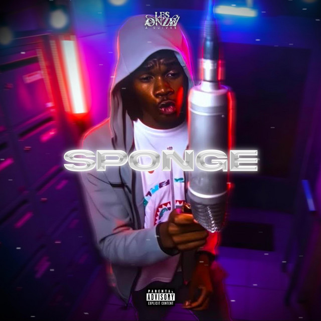 Sponge cover art