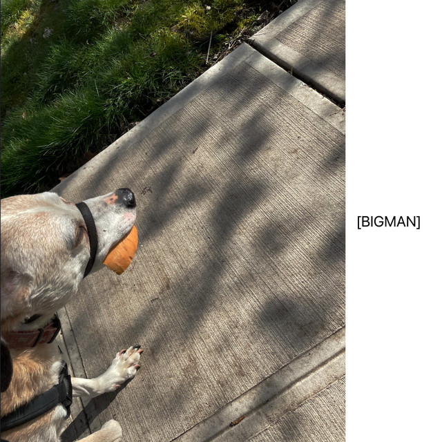 [BIGMAN]
