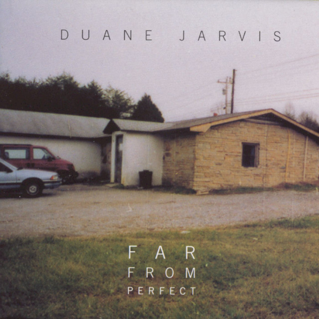 Far From Perfect cover art