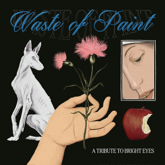WASTE OF PAINT: A TRIBUTE TO BRIGHT EYES cover
