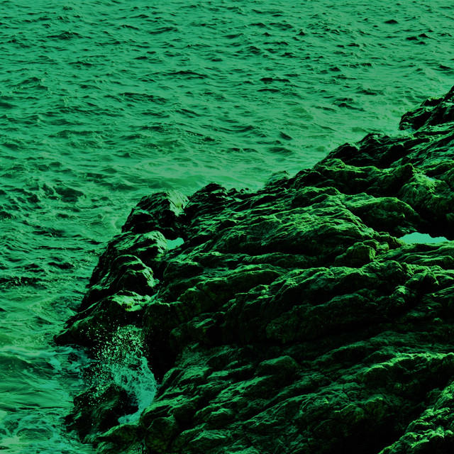 Swim To Shore cover art