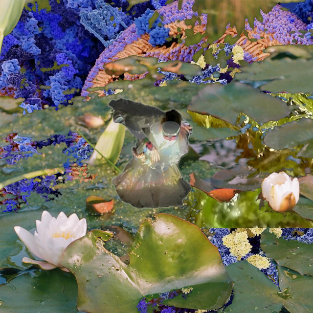 Second Sequence: Pond Surface Dwellers & Underwater Amphibians and Invertebrates Perspective (Pain) cover art