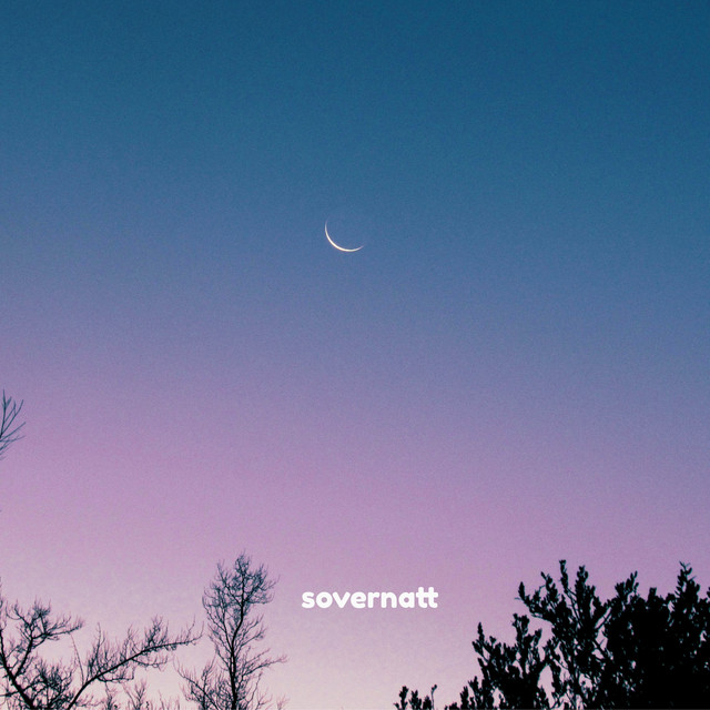 Immerse cover art