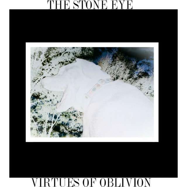 Virtues of Oblivion cover art
