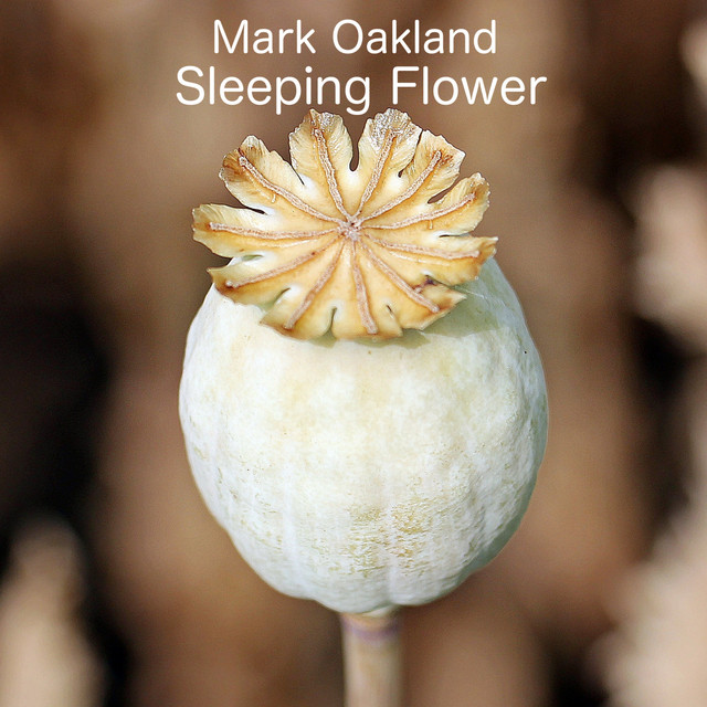 Sleeping Flower cover