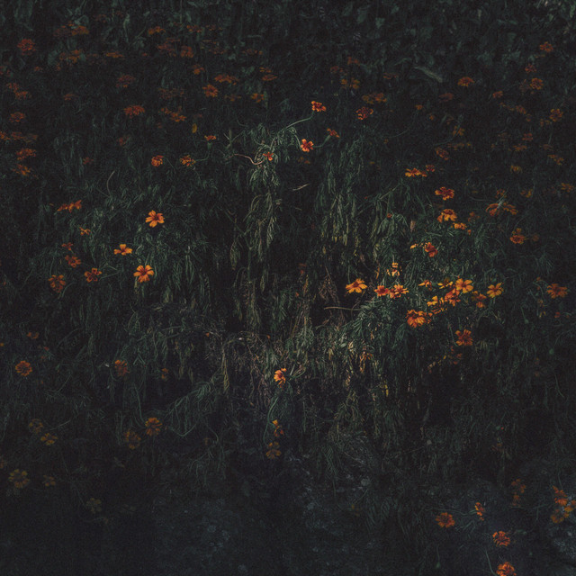 Estarantos cover art