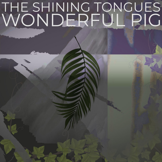 Wonderful Pig (single)