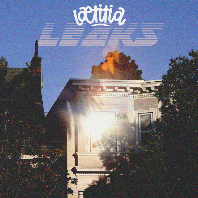 Leaks cover art