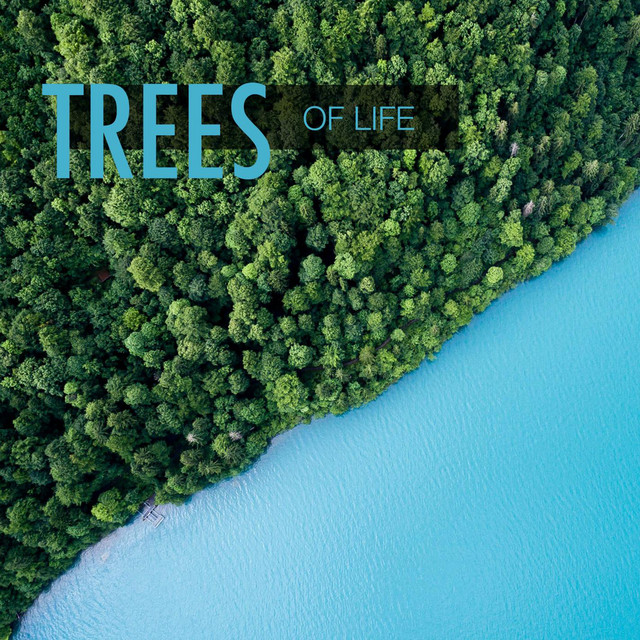 Trees of Life cover art