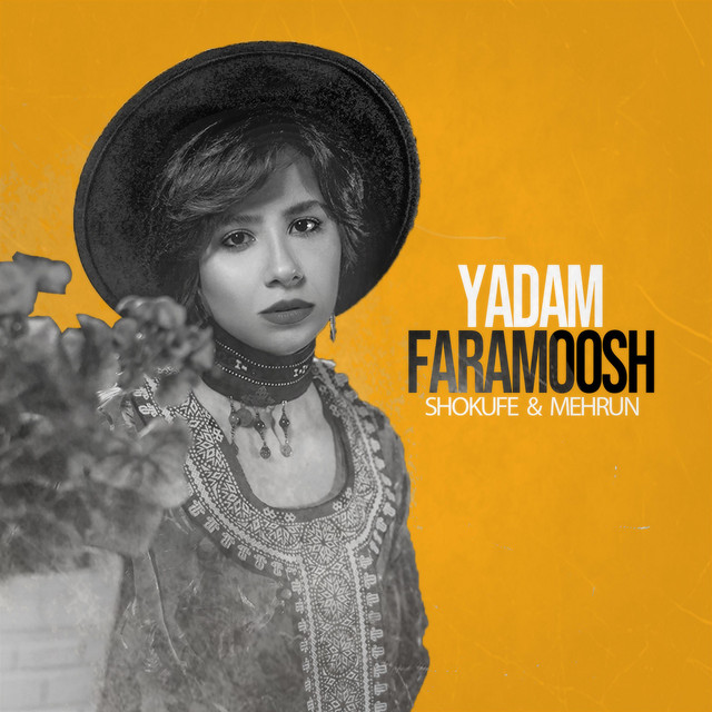 Yadam Faramoosh cover art
