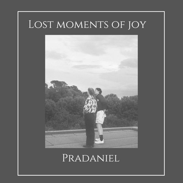 Lost Moments of Joy cover art
