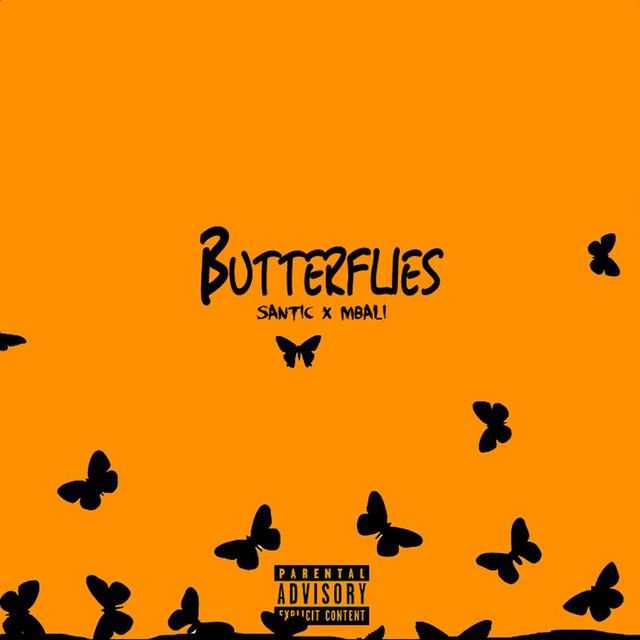 Butterflies cover