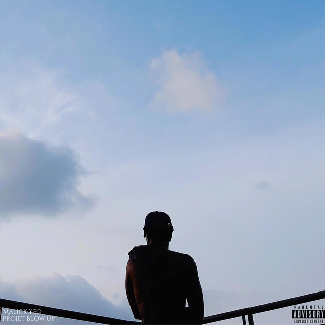 Projet Blow Up cover art