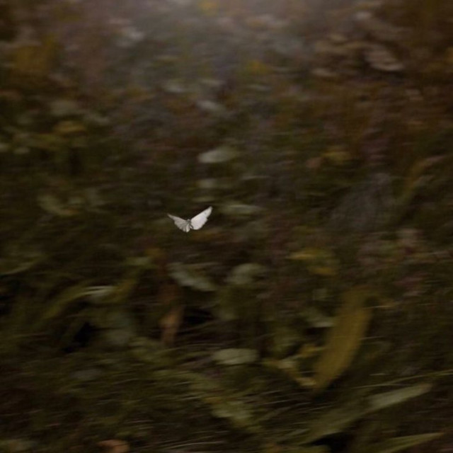 z tobą cover art