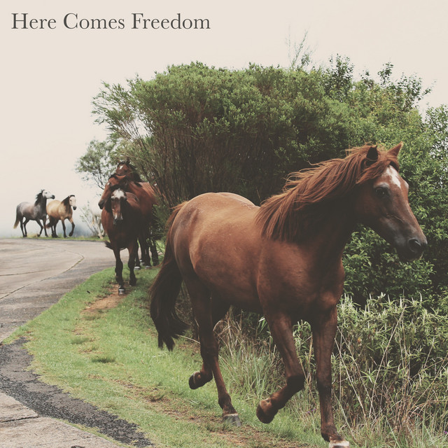 Here Comes Freedom cover art