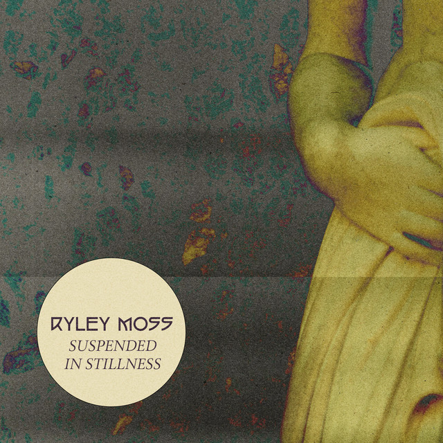 Suspended in Stillness cover
