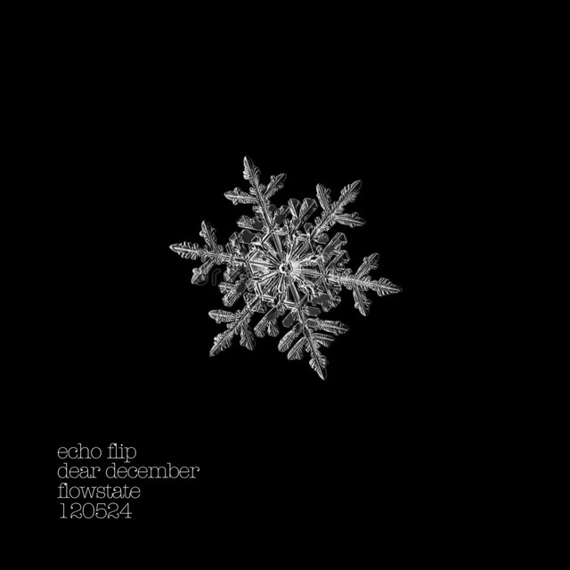 Echo cover art