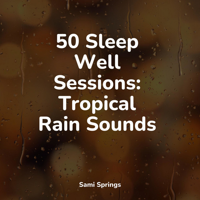 50 Peaceful Winter Rain Tracks - Album by Sleepy Times | Spotify