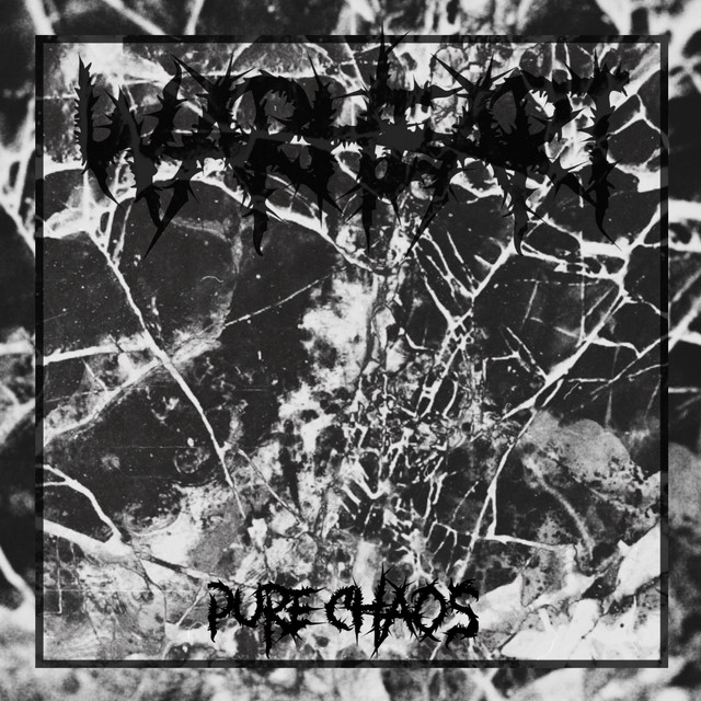 Pure Chaos cover art