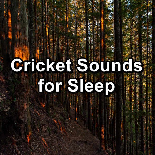 Cricket Sounds for Sleep cover art