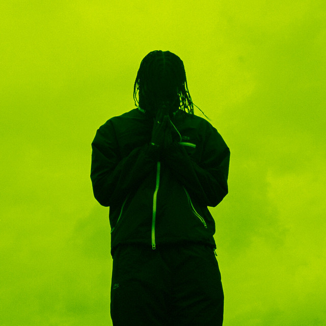 Dans l'viseur cover art