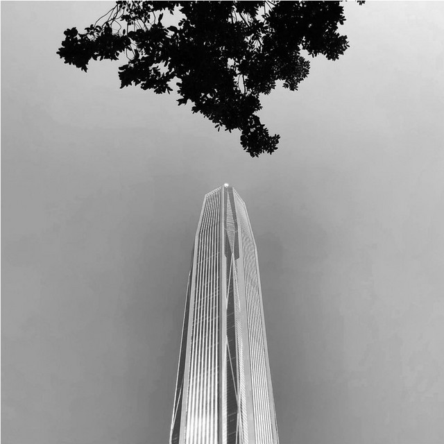 Diving cover art