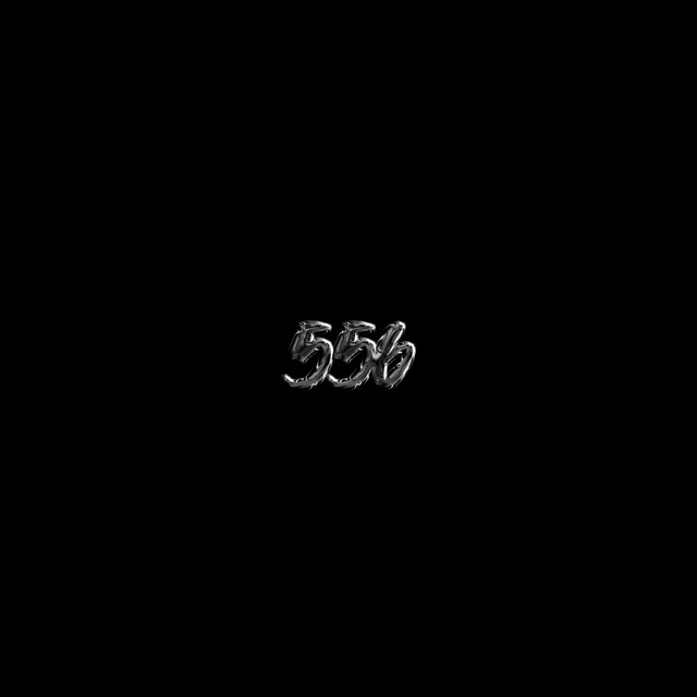556 cover