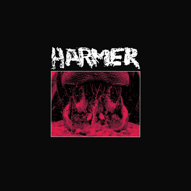 Harmer cover art