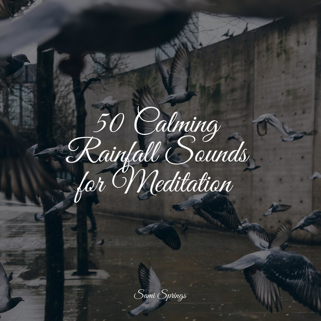 50 Calming Rainfall Sounds for Meditation - Album by Baby Sleep Music ...