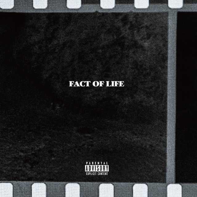 Fact Of Life cover art