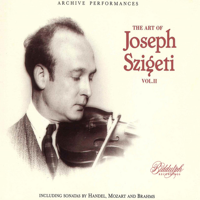 Violin Sonata in D Minor, Op. 10b No. 13, J. 101: I. Air russe. Allegretto moderato