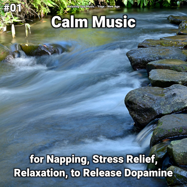 #01 Calm Music for Napping, Stress Relief, Relaxation, to Release Dopamine cover art