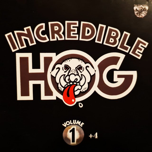 Incredible Hog Photo
