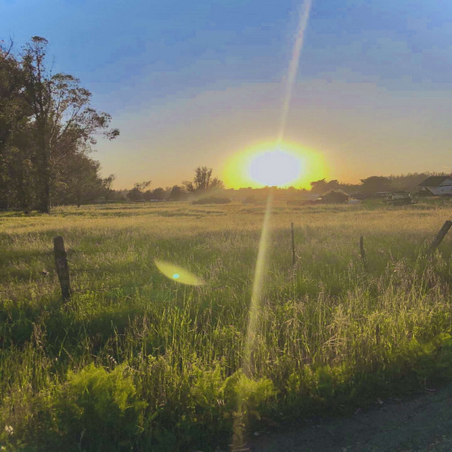 Enjoy the Sunset