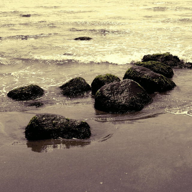 Eastern Shores cover art
