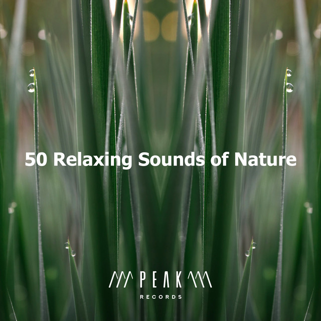 50 Relaxing Sounds of Nature - Album by Relaxing Sounds Of Nature | Spotify