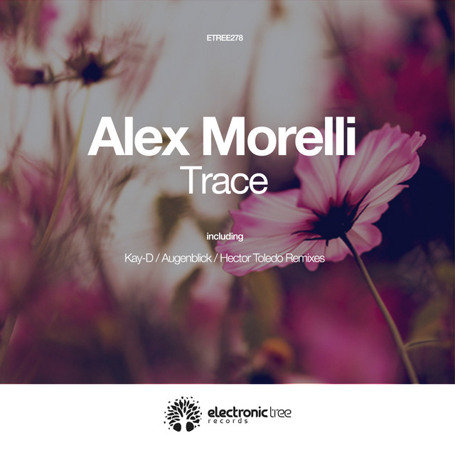 Trace - Augenblick Remix cover art