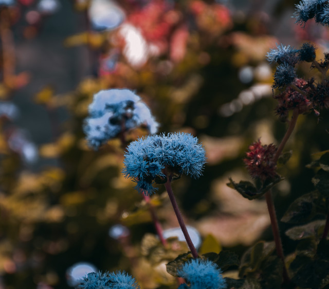 Soul Soothing Melodies | Brain Calming and Deep Sleep, Happy and Confident cover art