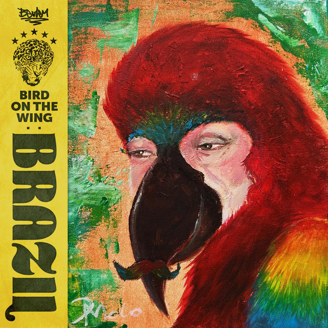 BIRD ON THE WING: BRAZIL cover art