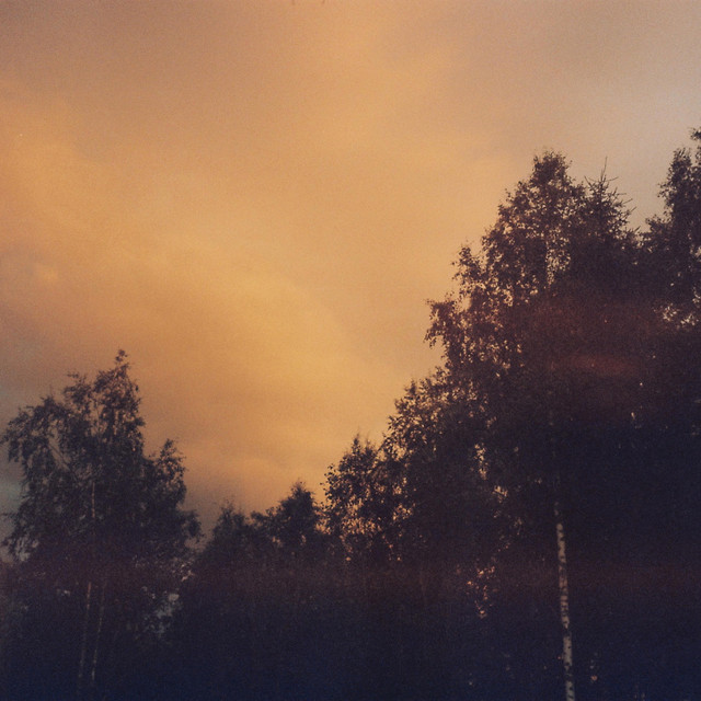 6 cover art