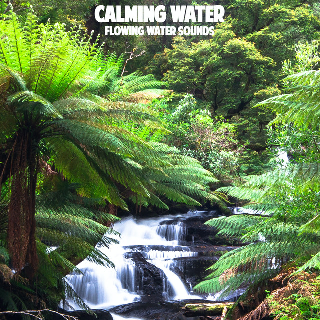 Flowing Water Sounds cover art