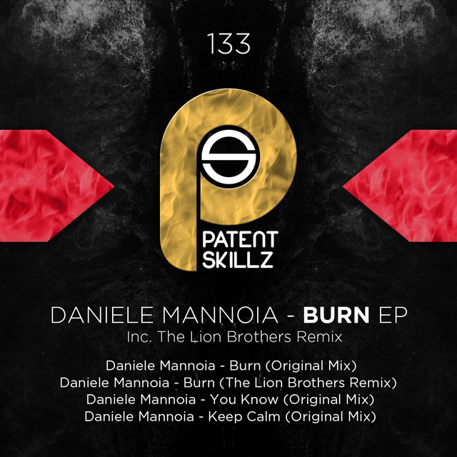 Burn - The Lion Brothers Remix cover art