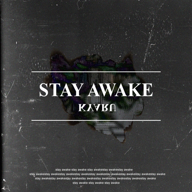 Stay Awake cover art