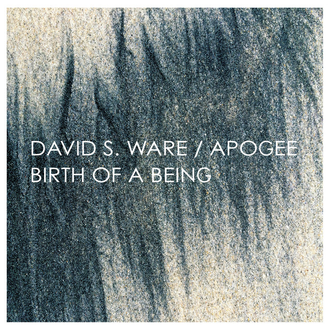 Birth Of A Being cover art