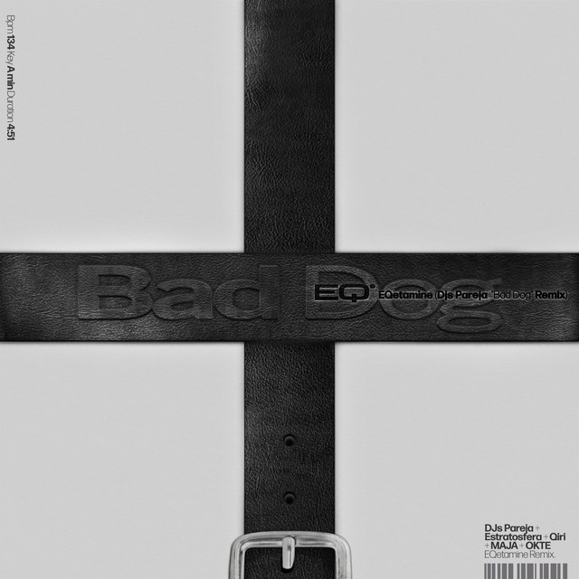 EQetamine (DJs Pareja "Bad Dog" Remix) cover art