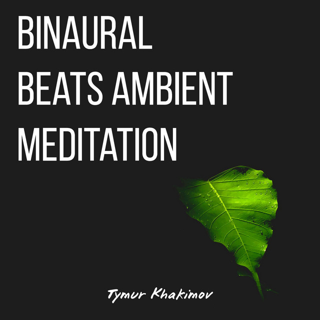 Обкладинка: Binaural Beats Ambient Meditation — Tymur Khakimov