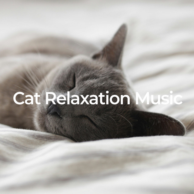 Cat Relaxation Music