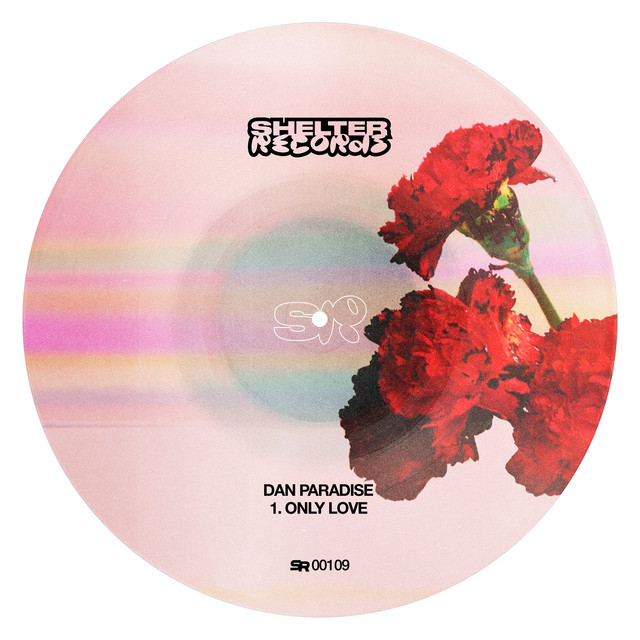 Only Love - Single by Dan Paradise | Spotify