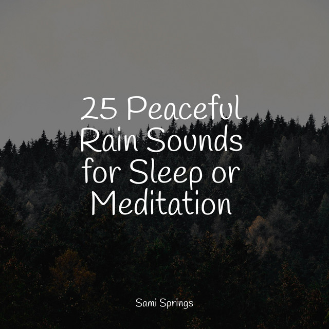 25 Peaceful Rain Sounds for Sleep or Meditation - Album by Sleepy Times ...