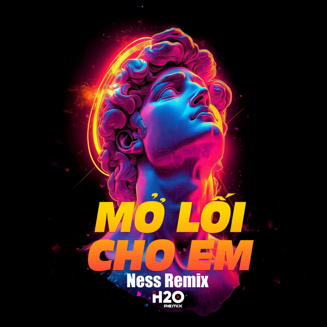 Ness Remix, Lương Quý Tuấn & Hữu Công - Mở Lối Cho Em (Remix)